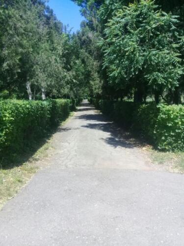 IMG-20180517-WA0018